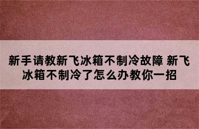 新手请教新飞冰箱不制冷故障 新飞冰箱不制冷了怎么办教你一招